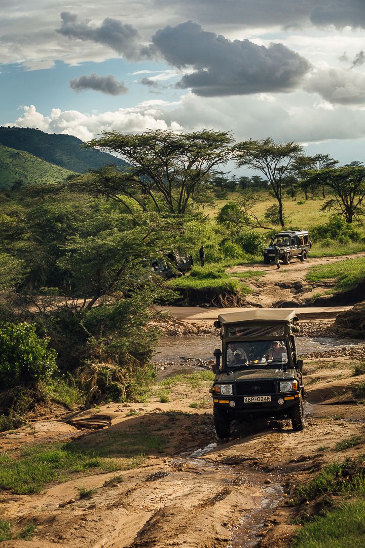 African Safari