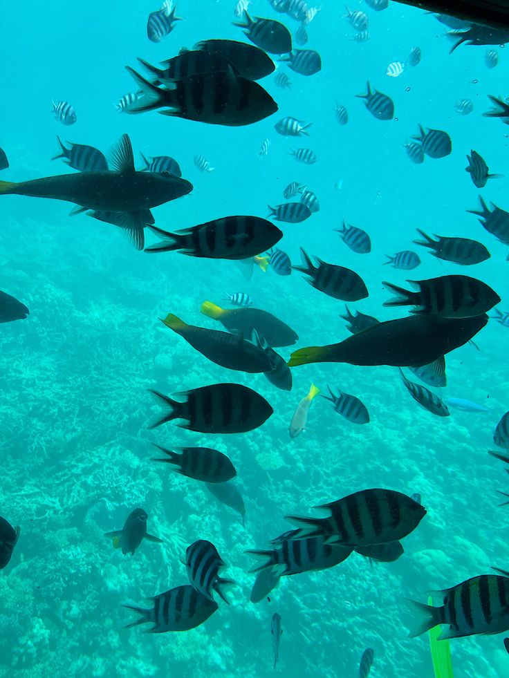 Red Sea, Taba, South Sinai, Egypt
Red Sea beach destinations