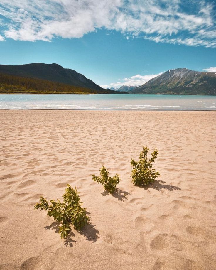 Bennett Beach, Yukon