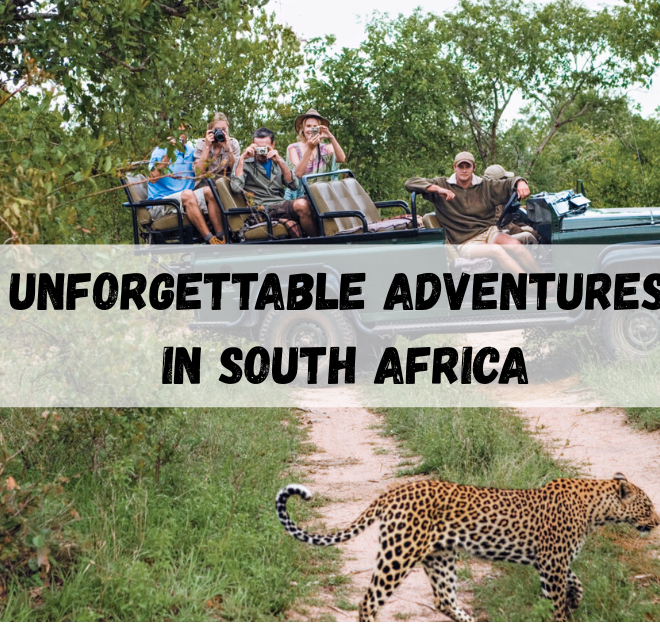 Unforgettable Adventures in South Africa