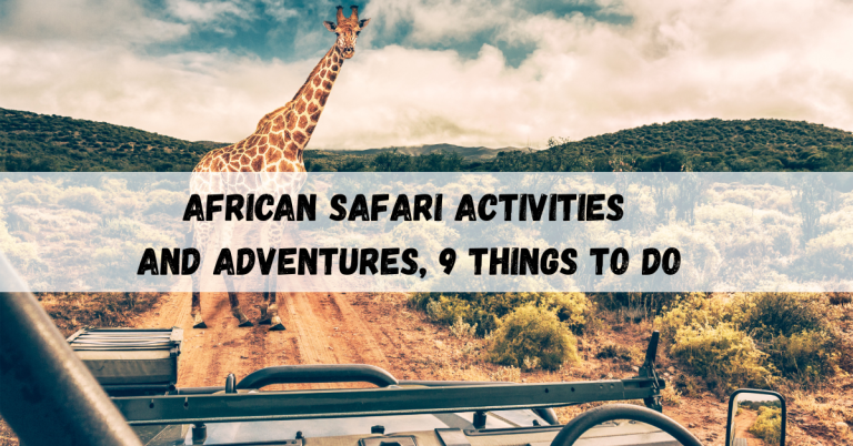 African Safari Activities and Adventures, 9 Things to Do