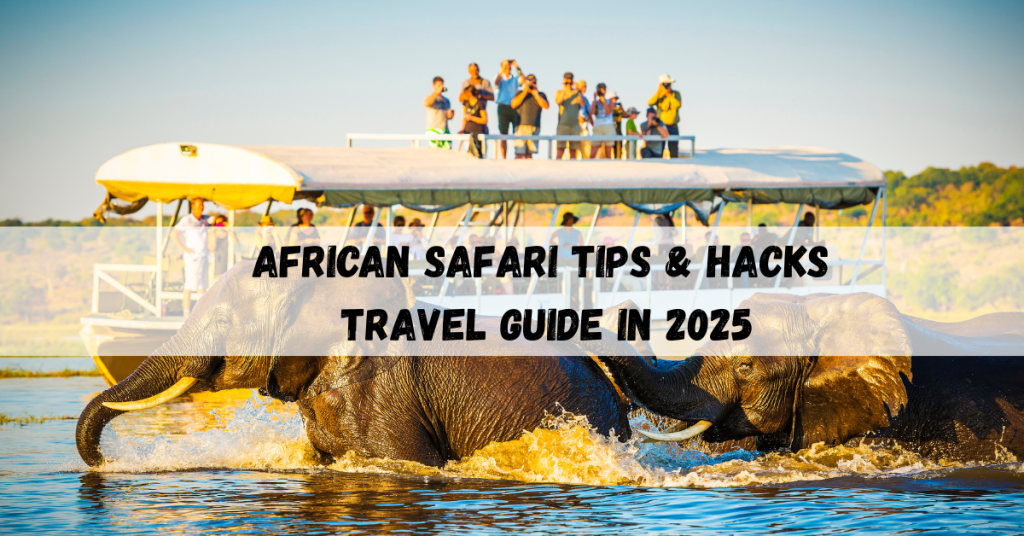 African safari jeep driving through wildlife in 2025