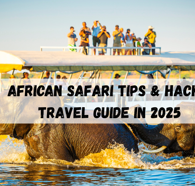African Safari Tips & Hacks| best Travel Guide