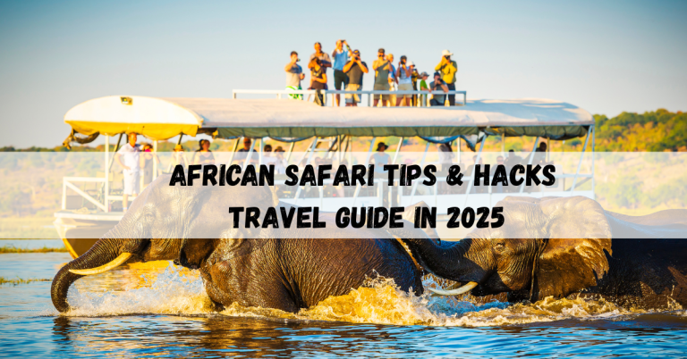 African Safari Tips & Hacks| best Travel Guide