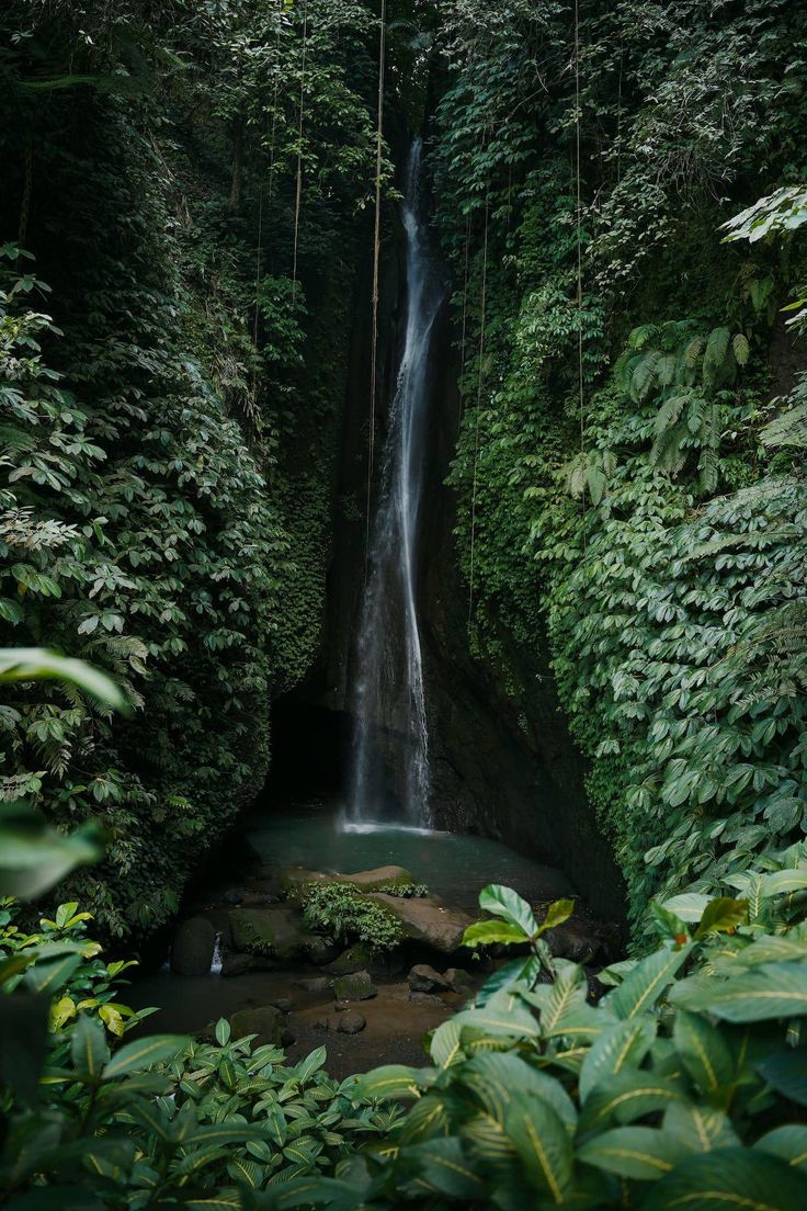 Hidden Waterfalls in Bali
Must-visit destinations in Bali