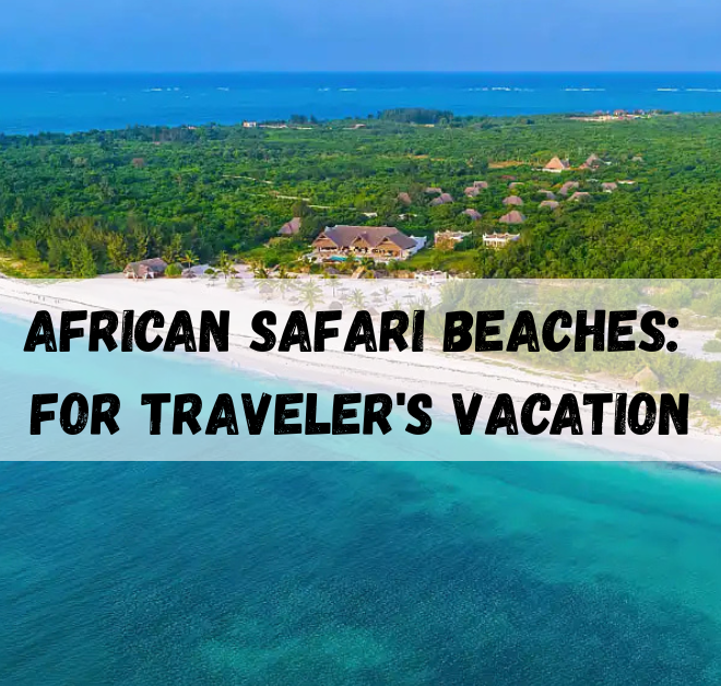 African Safari Beaches: 2025’s Most Unique Travel Vacation Combo
