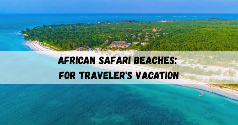 African Safari Beaches: 2025’s Most Unique Travel Vacation Combo