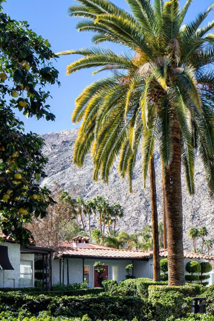 Avalon Resort & Spa