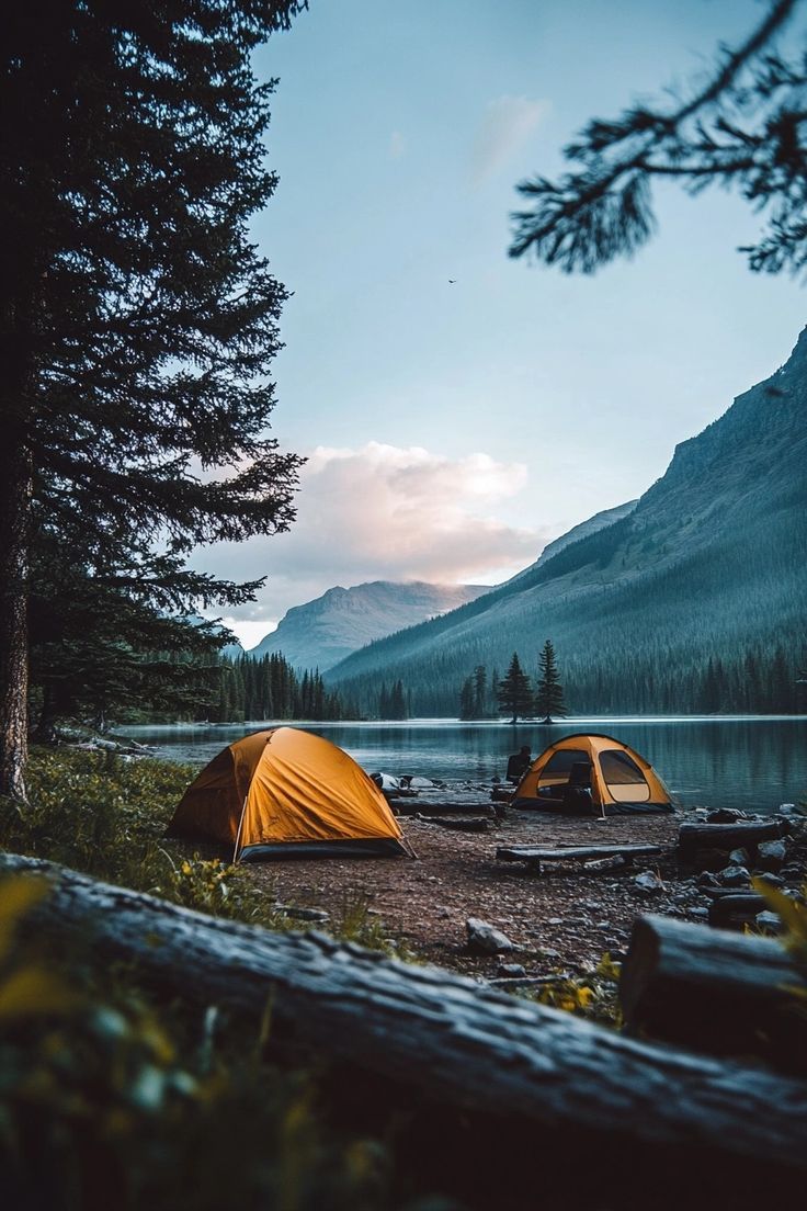 Camping and Stargazing in National Parks
