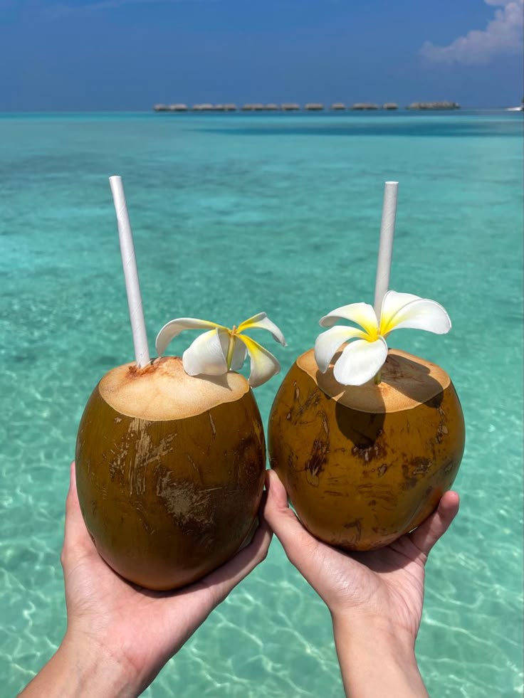 coconut