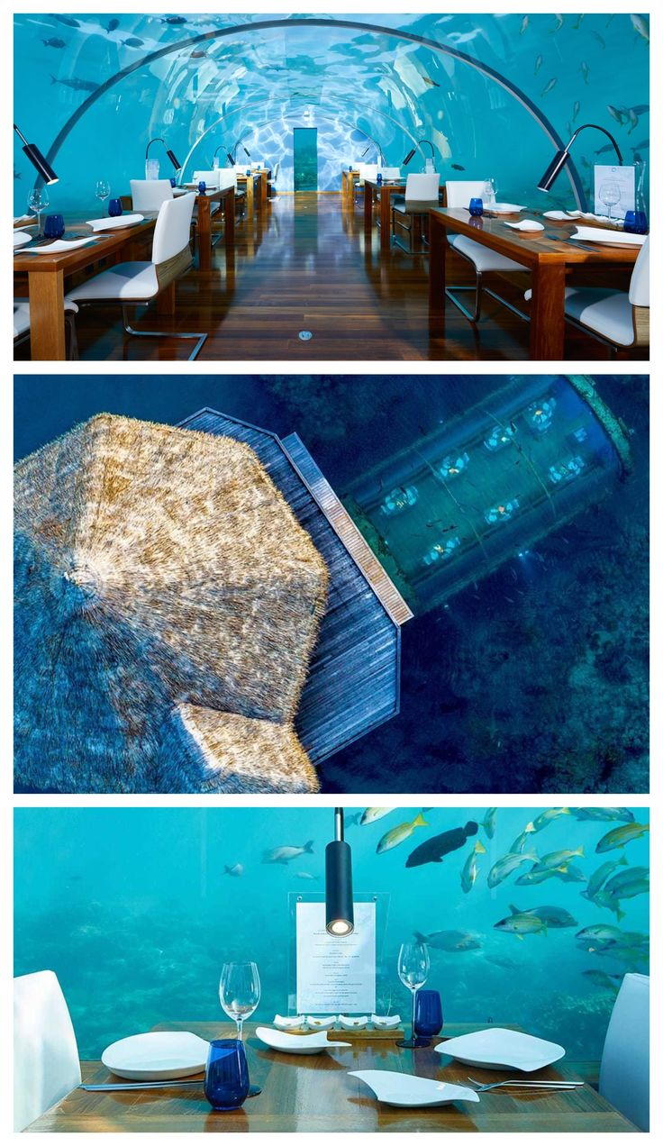 Underwater Restaurants and Dining