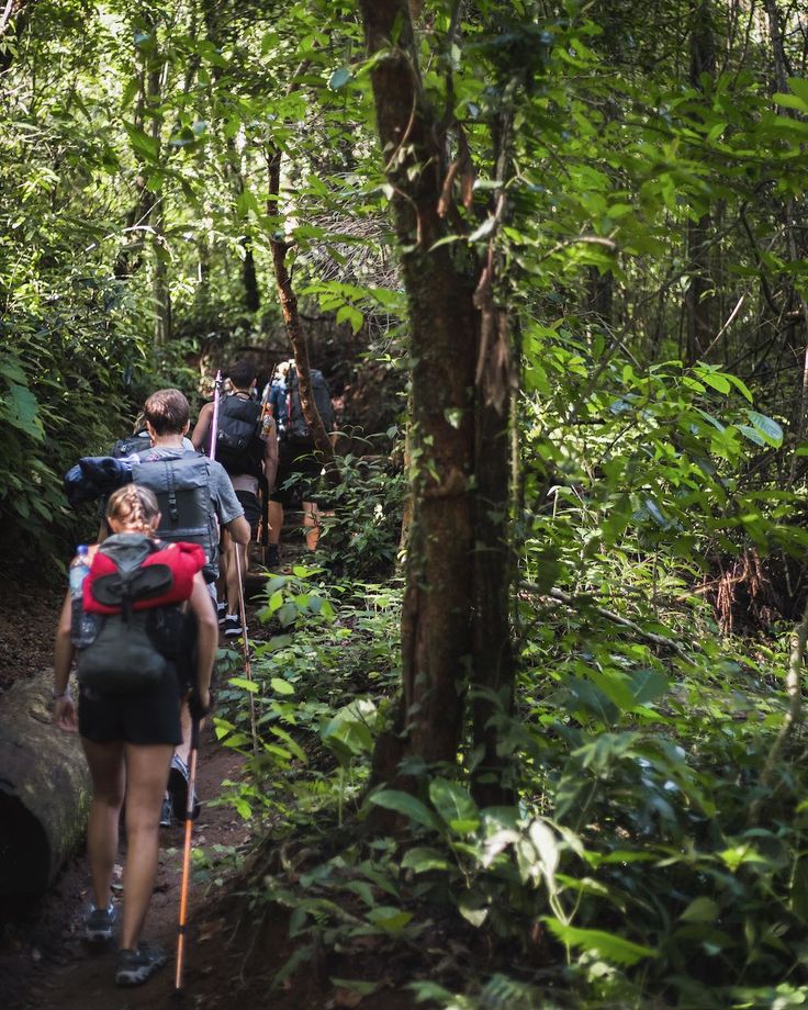 Jungle Trek, Mt Rinjani
Outdoor activities in Bali