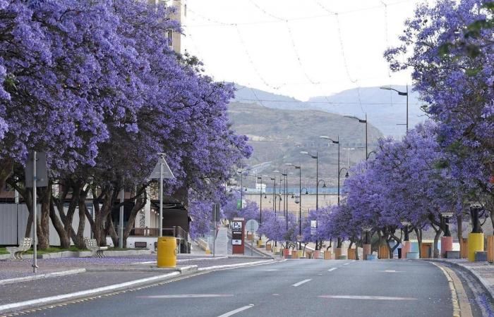 Hotels in Saudi Arabia featuring top-rated stays, desert resorts, and luxury hotels.Abha City