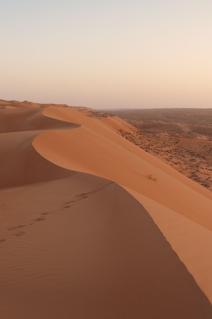 Wahiba Sands