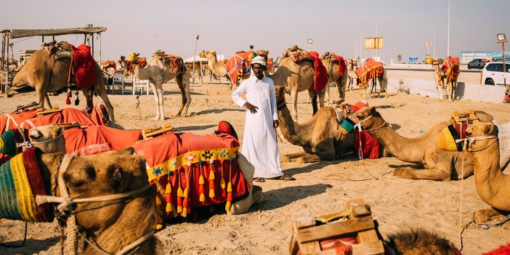 Camel Riding
Adventure activities in Qatar