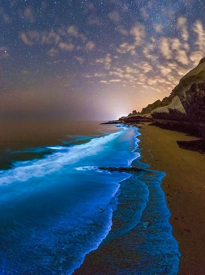 Night Diving and Bioluminescent Plankton